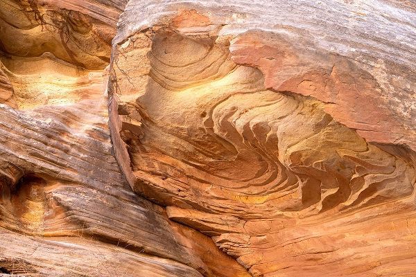 Davidson, Janell 아티스트의 USA-Utah-Grand Wash-Capitol Reef National Park Close-up of rock pattern작품입니다.